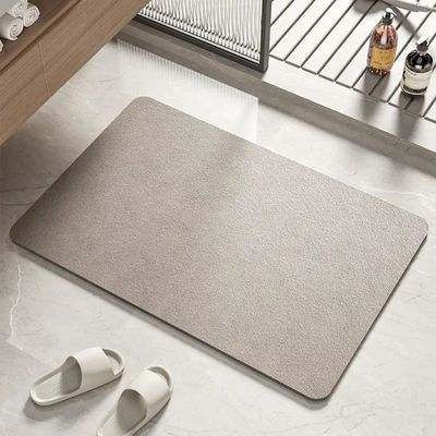 Quick Drying Water Carpet for Living Room Diatom Kitchen Toilet Bathroom Floor Mat
